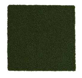 Pickleball Grass